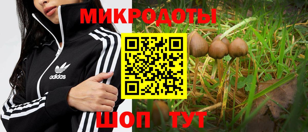 Галлюциногенные грибы Cubensis Якутск