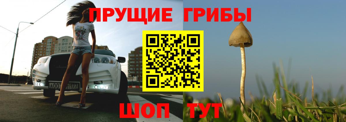 где найти наркотики  Псилоцибиновые грибы GOLDEN TEACHER  Якутск  Вход с VPN  Псилоцибиновые грибы ЛСД 